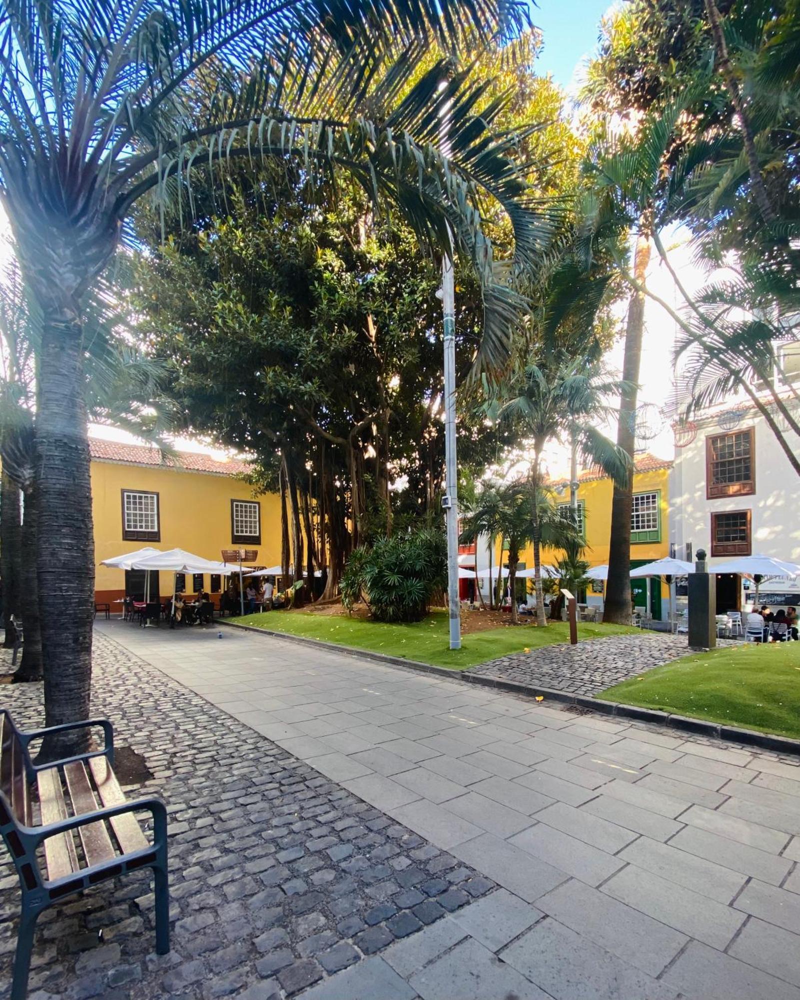 Macaronesia Home Santa-Cruz de Ténérife Extérieur photo